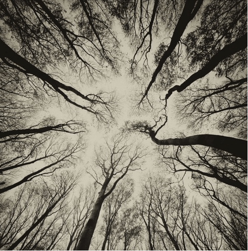 blasie-pascal-i-cant-wait